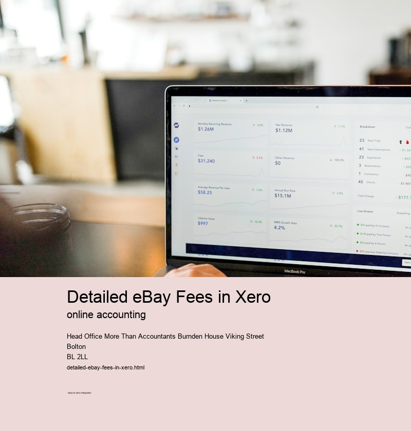 Detailed eBay Fees in Xero