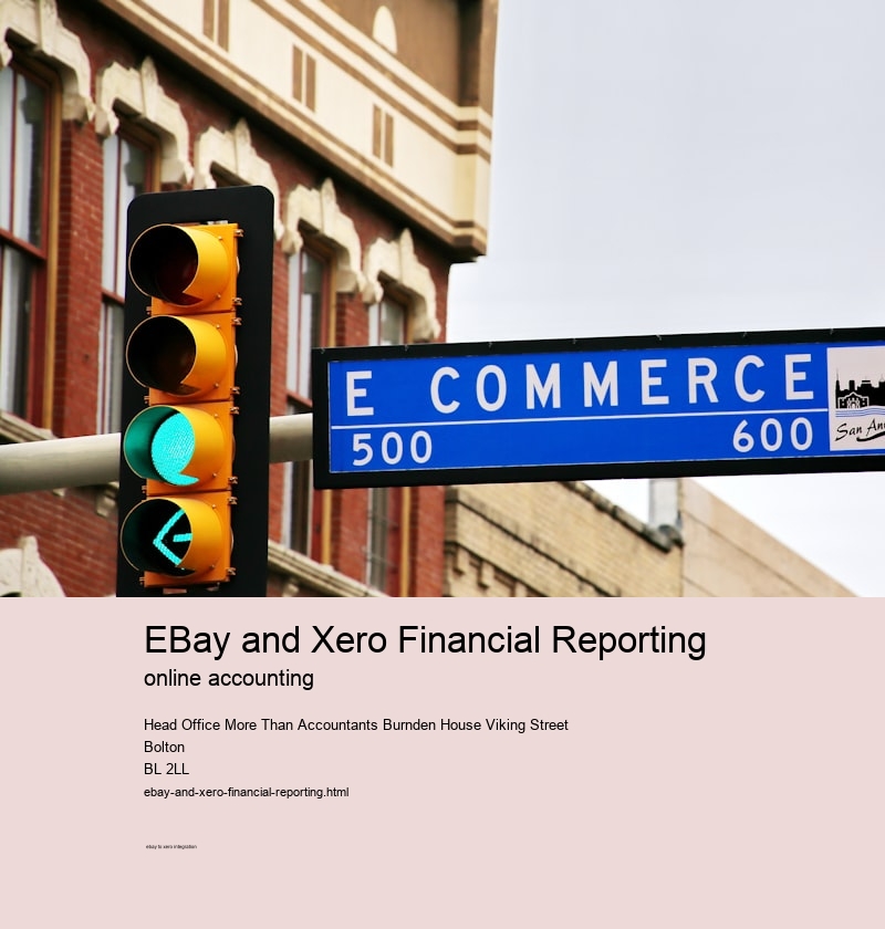 eBay and Xero Financial Reporting