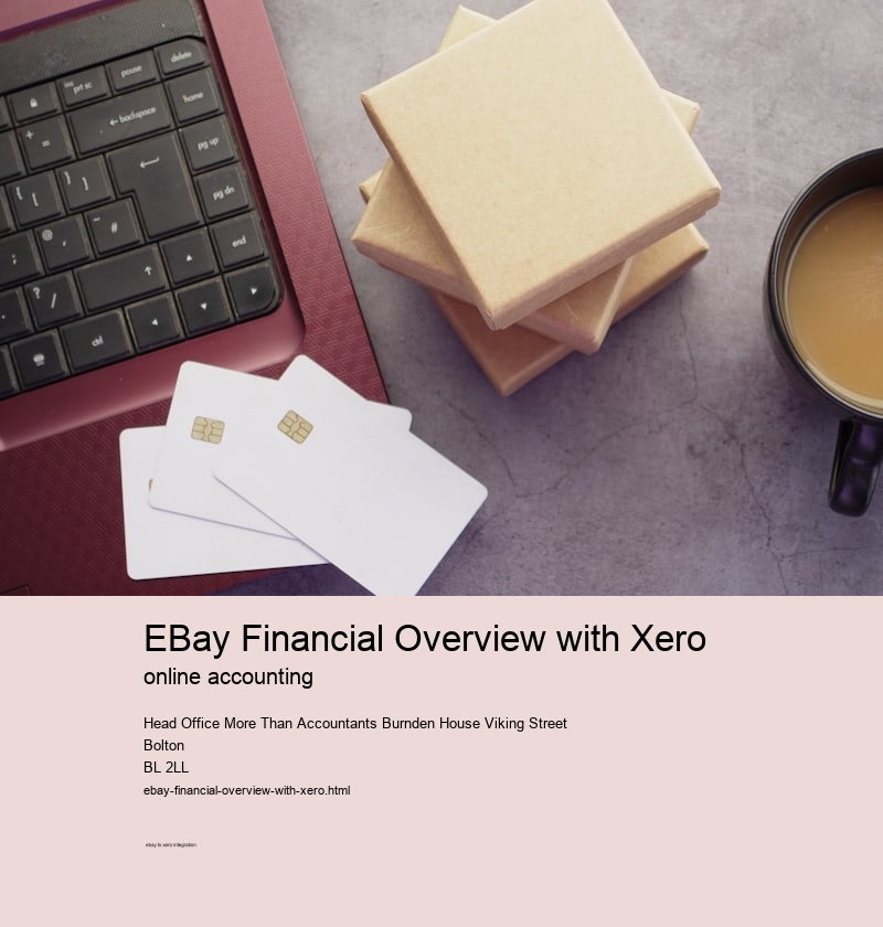 eBay Financial Overview with Xero