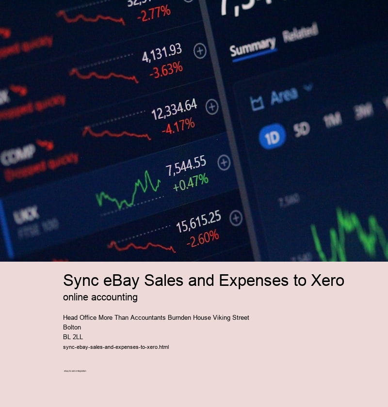 Sync eBay Sales and Expenses to Xero