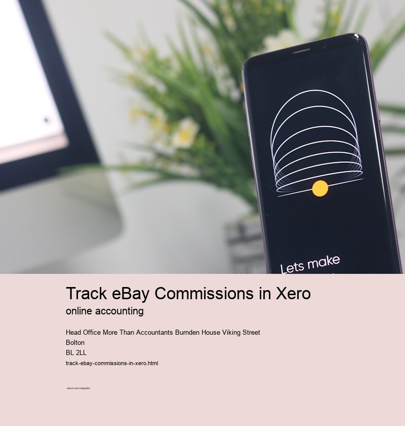 Track eBay Commissions in Xero