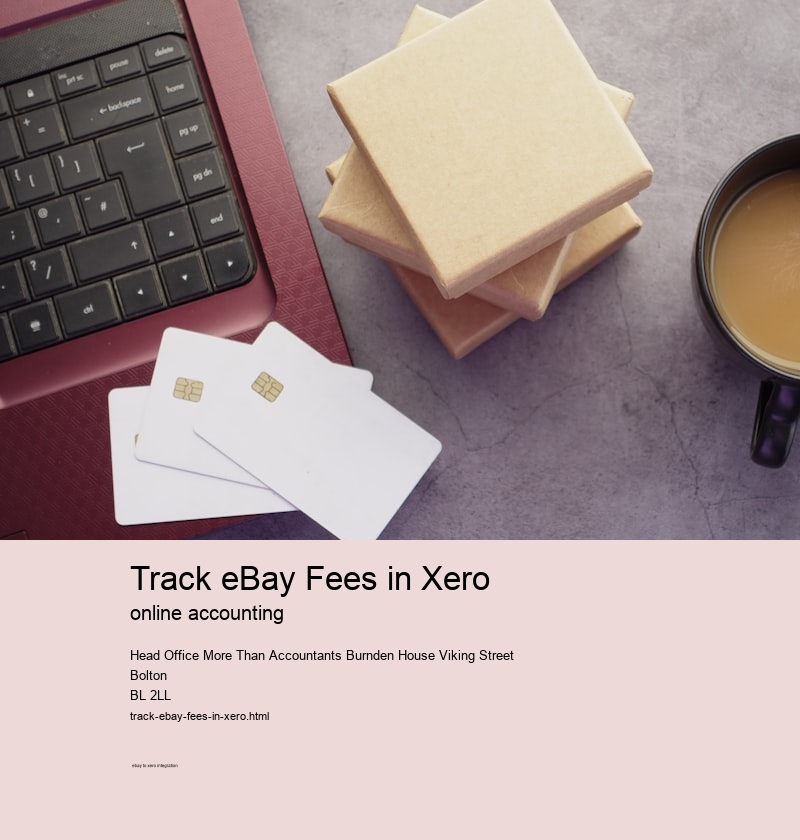 Track eBay Fees in Xero