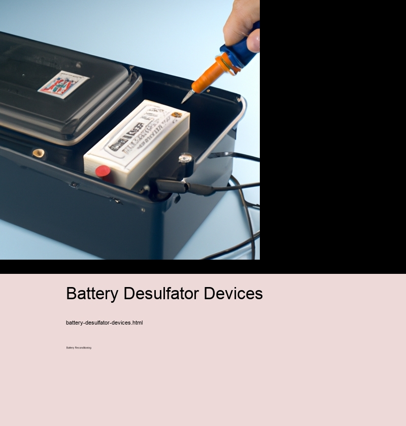 Battery Desulfator Devices