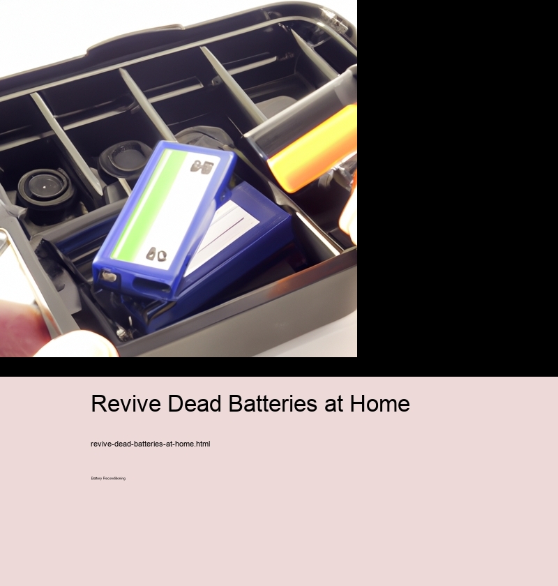 Revive Dead Batteries at Home