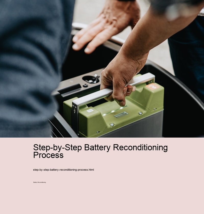 Step-by-Step Battery Reconditioning Process