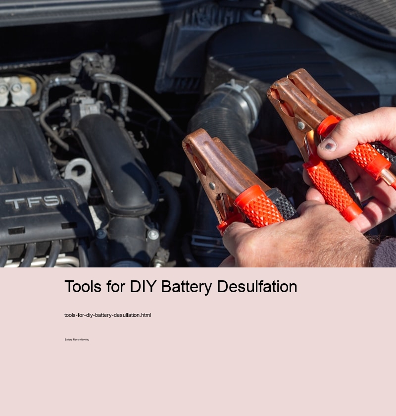 Tools for DIY Battery Desulfation