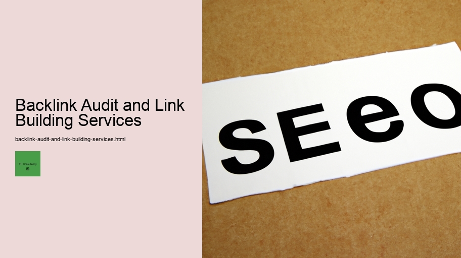 Backlink Audit and Link Building Services