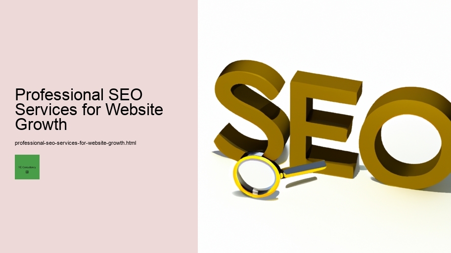 Professional SEO Services for Website Growth 