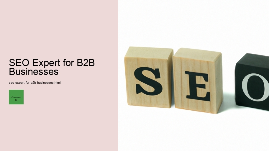 SEO Expert for B2B Businesses