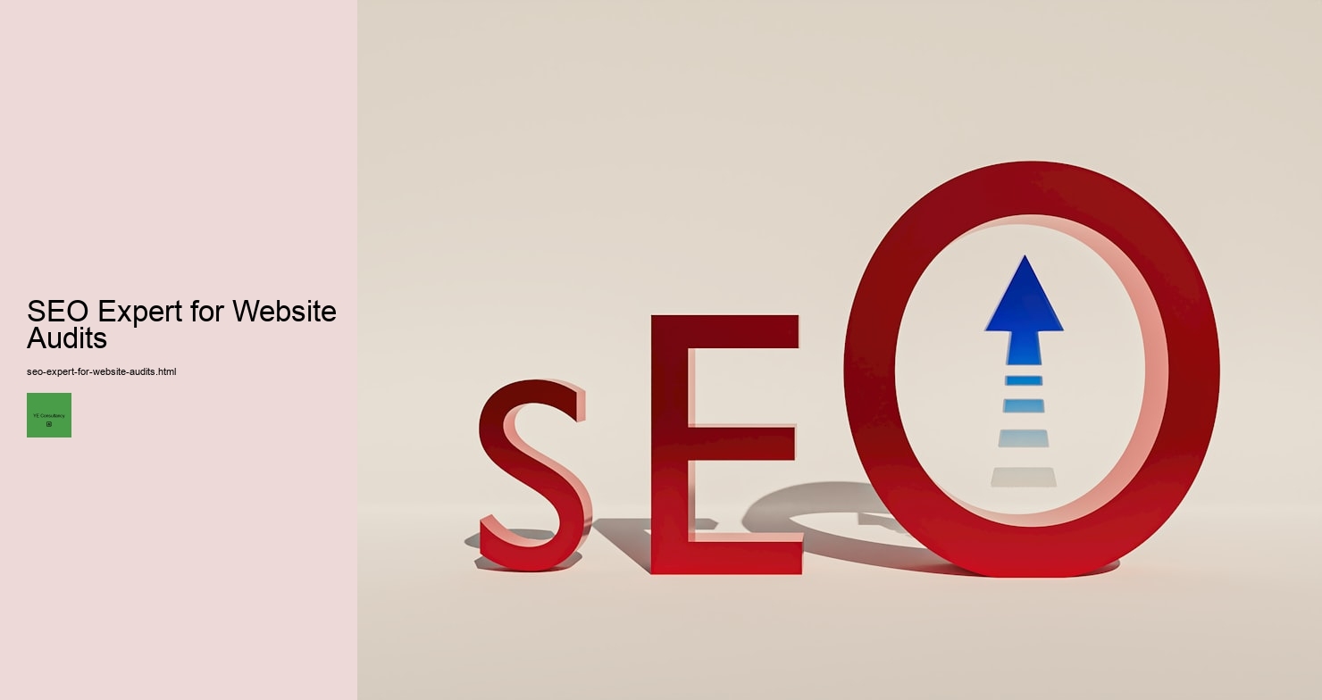 SEO Expert for Website Audits