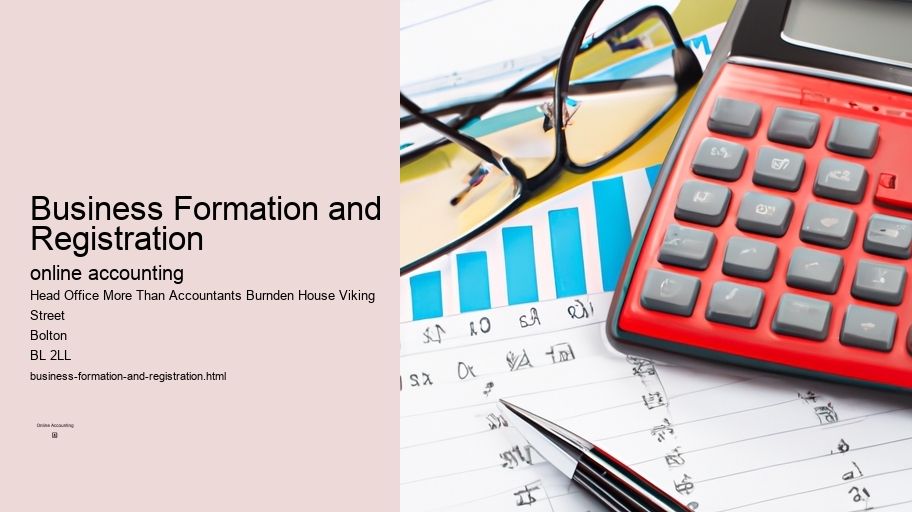 Business Formation and Registration