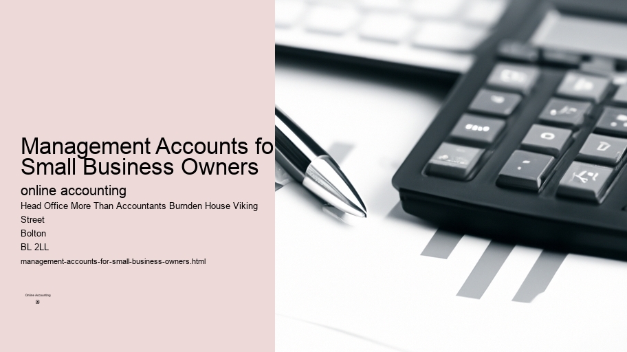 Management Accounts for Small Business Owners